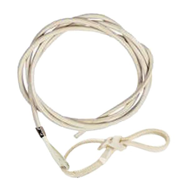 Fleck Peitschenriemen