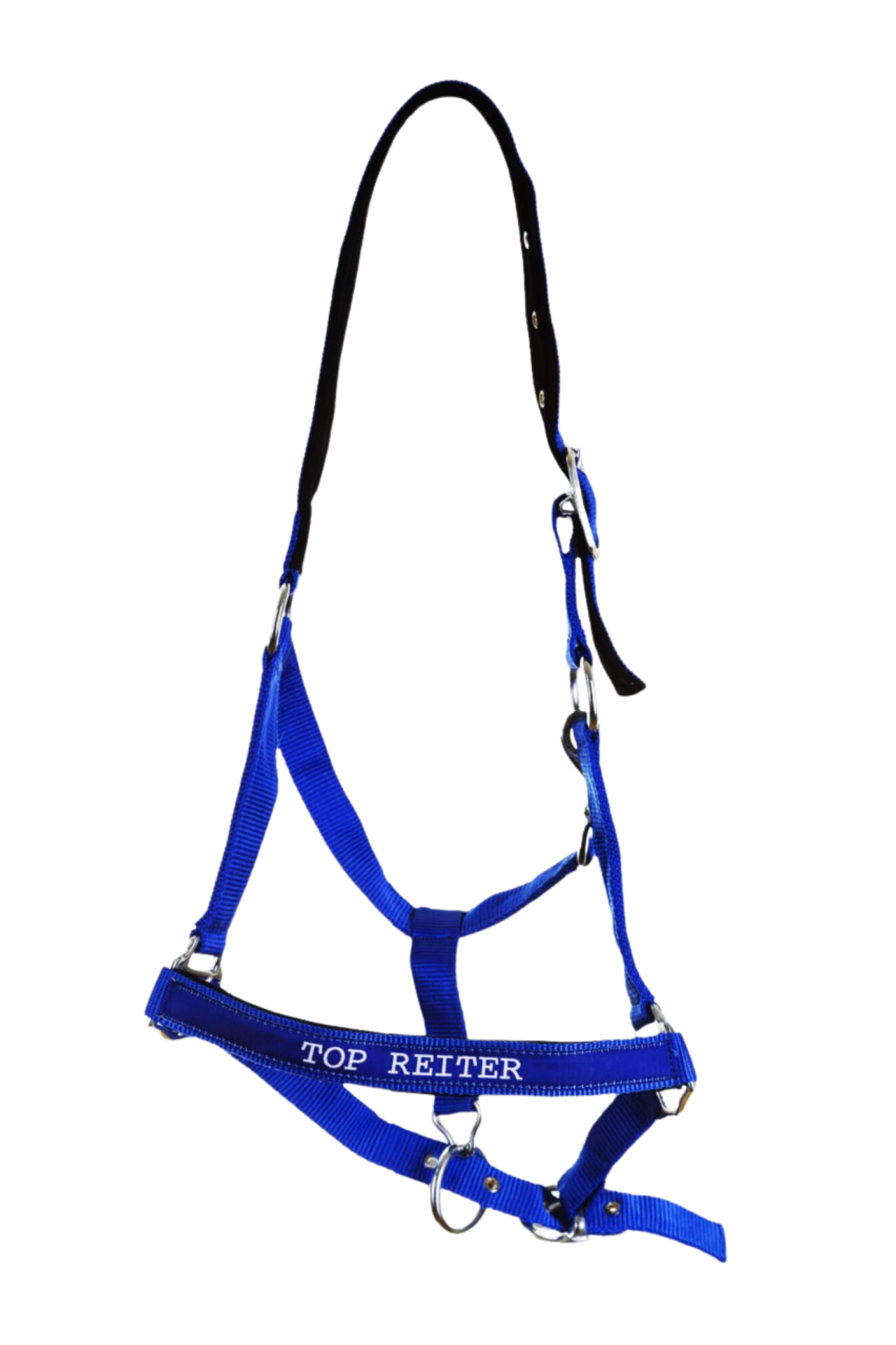 Top Reiter  TR II Halfter blau