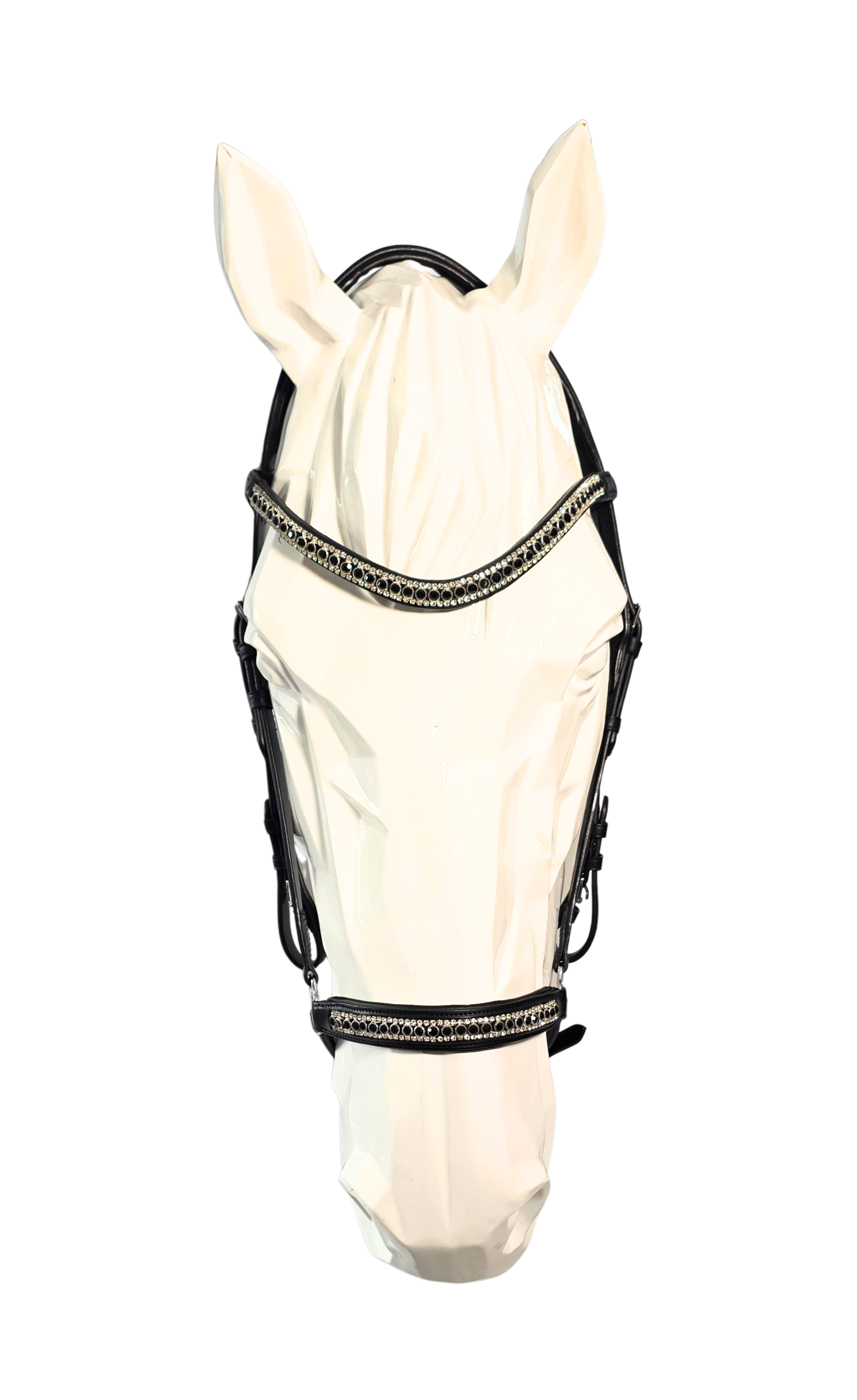 Royal Gait Noryx Glitur hannoversch