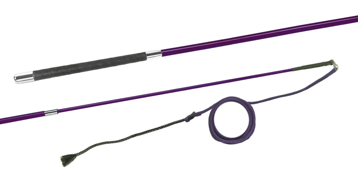 FLECK Longierpeitsche Teleskop Carbon lila